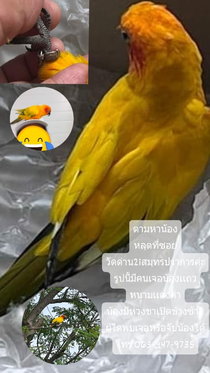 ซัน