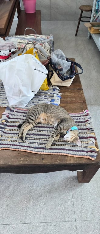 เม็ดบัว