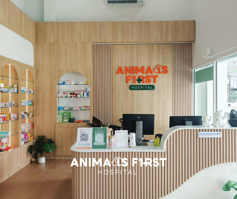 โรงพยาบาลสัตว์แอนนิมอลส์เฟิร์ส เชียงราย (Animals First Hospital)