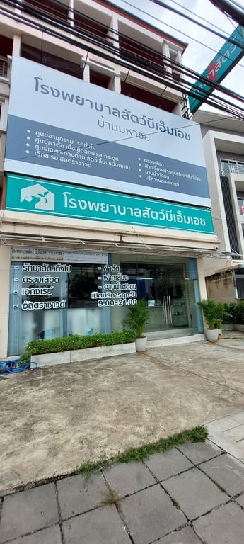 โรงพยาบาลสัตว์บีเอ็มเอช บ้านมหาชัย 24ชั่วโมง