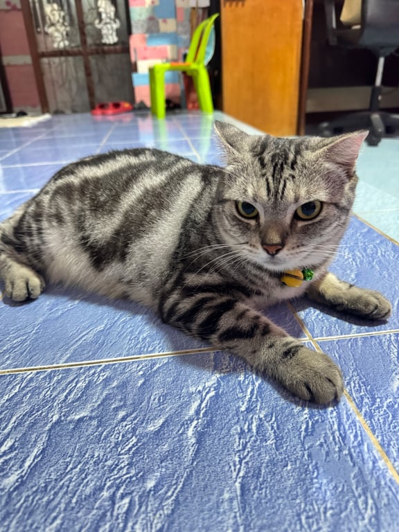 ยูโร