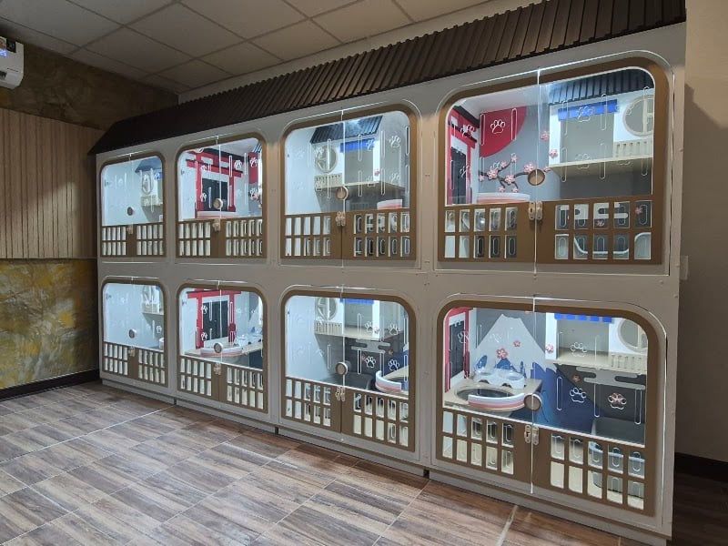 CatTama Cat Hotel