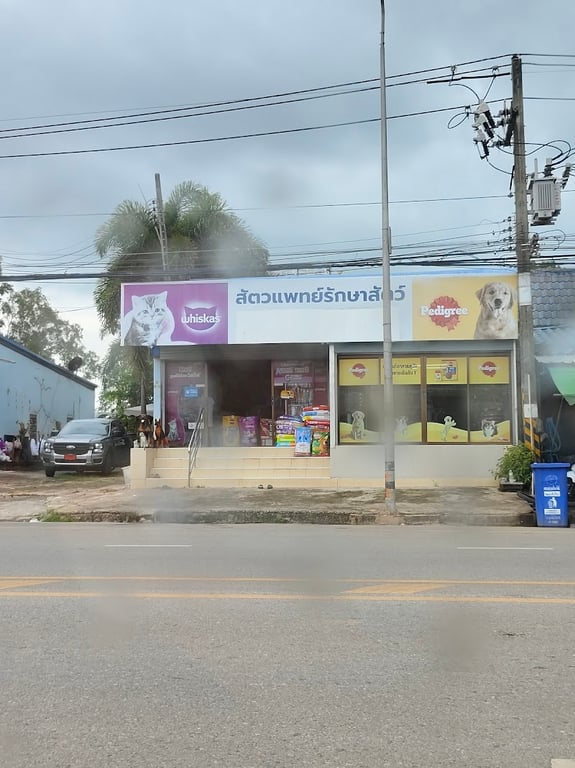 สัตวแพทย์รักษาสัตว์