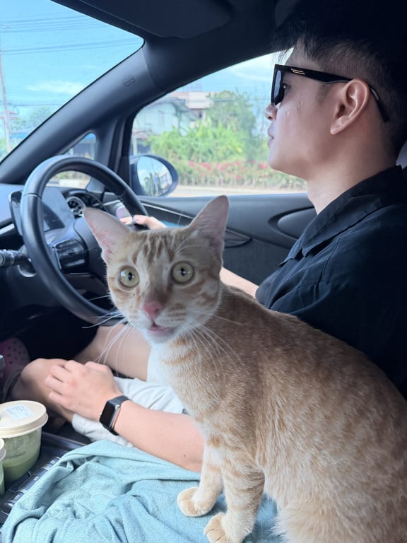 ทอง