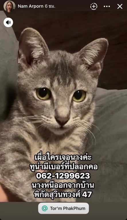 ทูน่า