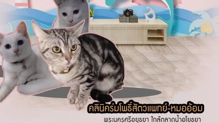 คลินิคร่มโพธิ์สัตวแพทย์