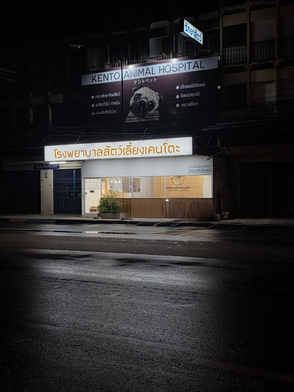 โรงพยาบาลสัตว์เลี้ยงเคนโตะ นครศรีธรรมราช
