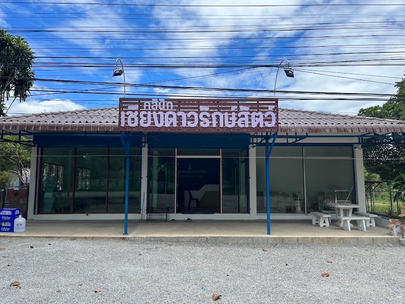 คลินิกเชียงดาวรักษ์สัตว์