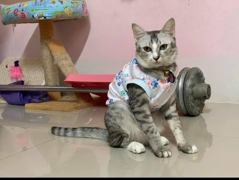 กำไร