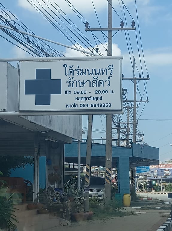 ใต้ร่มนนทรี รักษาสัตว์
