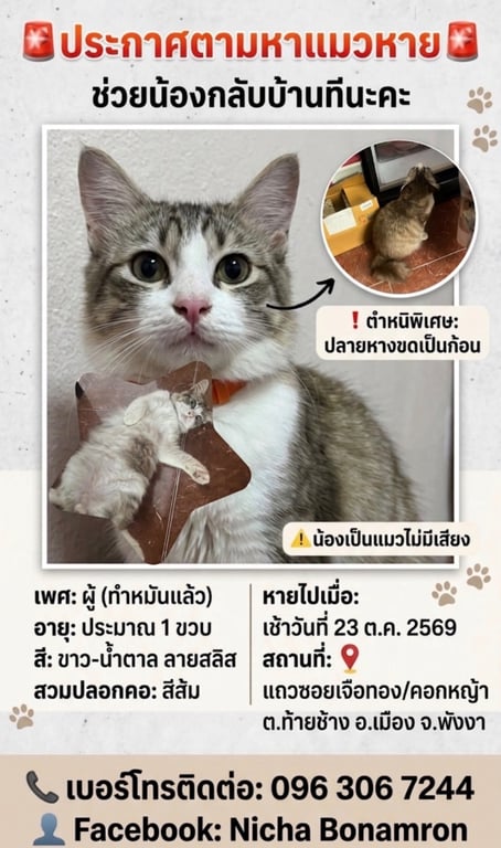 ดุ๊กดิ๊ก