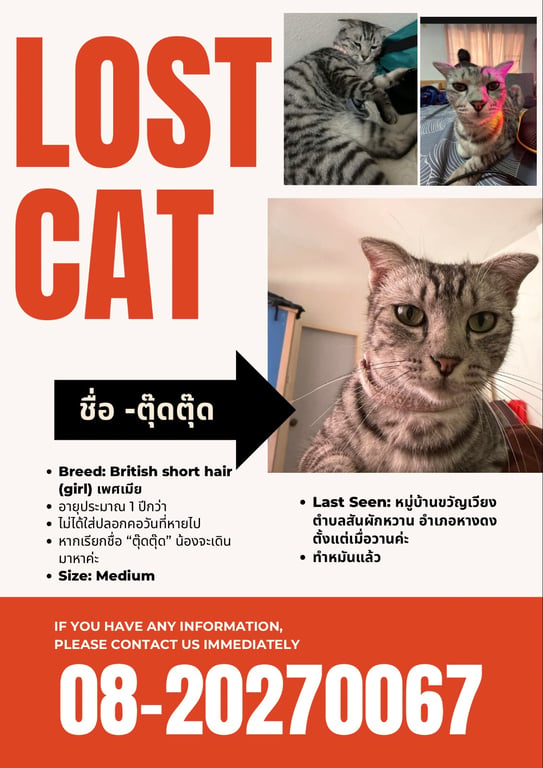 ตุ๊ดตุ๊ด