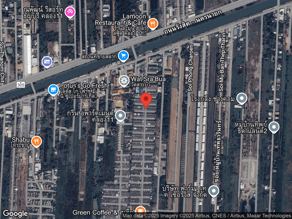 สถานที่หายของมะนาว