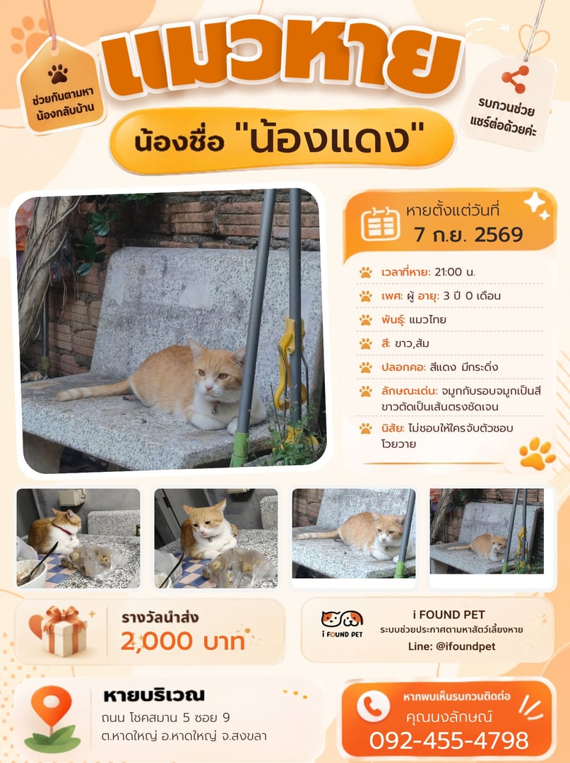น้องแดง