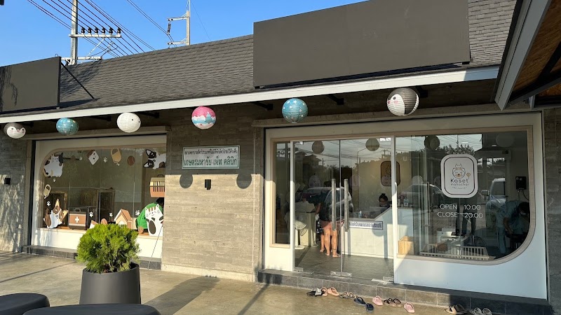 KMC Animal Hospital พันท้าย | ทำหมันดมยาราคาประหยัด