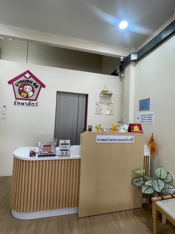 บางบอน66รักษาสัตว์
