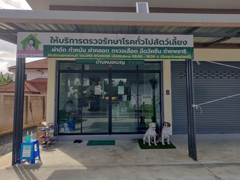 คลีนิครักษาสัตว์บ้านหมอเบญ