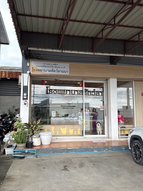 โรงพยาบาลสัตว์ลานนา