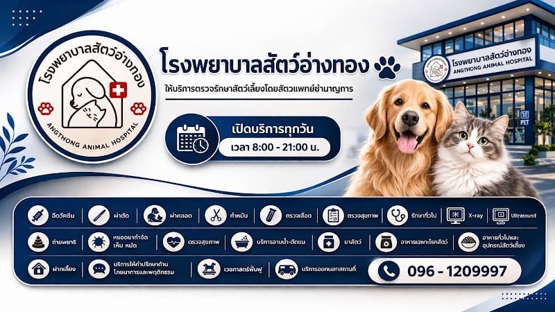 โรงพยาบาลสัตว์อ่างทอง ( Angthong Animal Hospital )