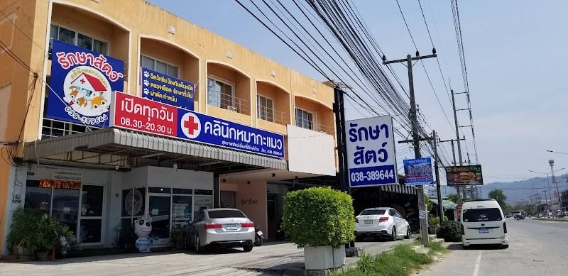 คลินิกหมากะแมว