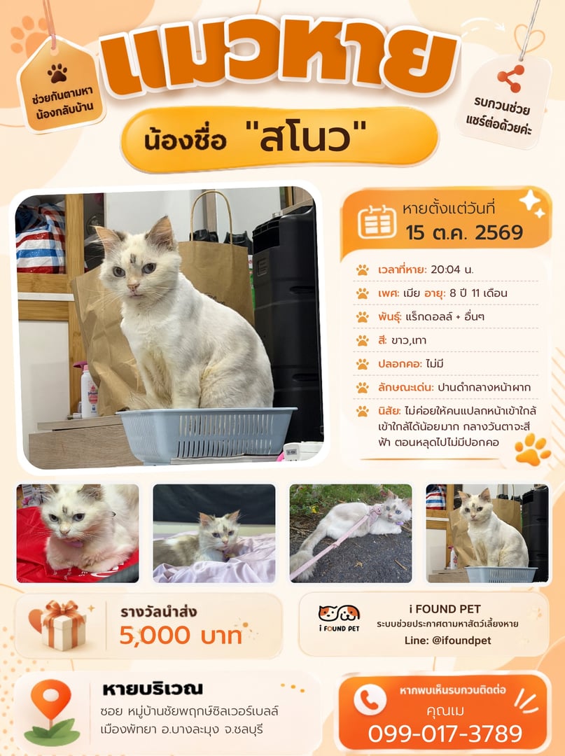 สโนว