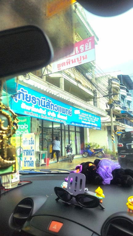 อุทัยธานี สัตวแพทย์