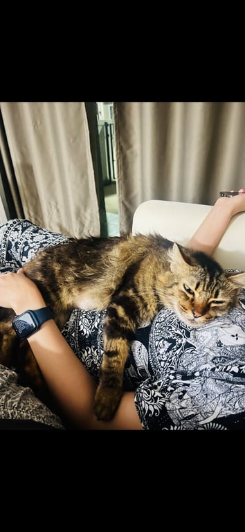รำเพย