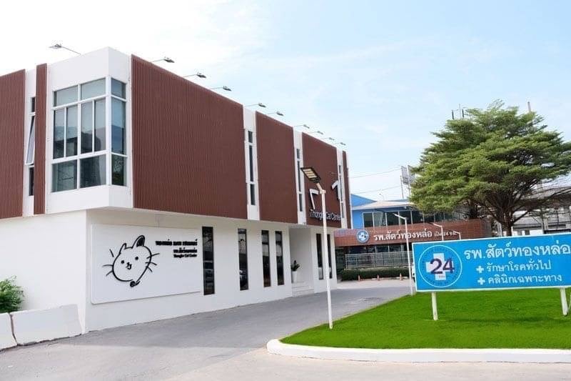 โรงพยาบาลสัตว์ ทองหล่อ รังสิต Thonglor Pet Hospital Rangsit