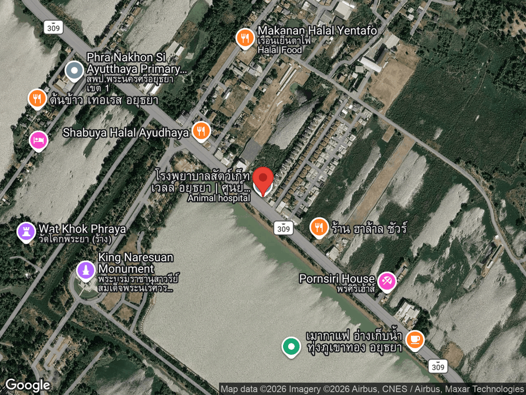 สถานที่หายของทอง