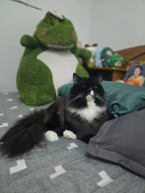 เป็ปซี่