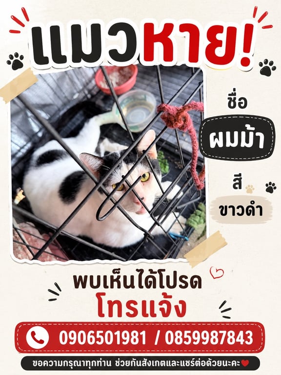 ผมม้า