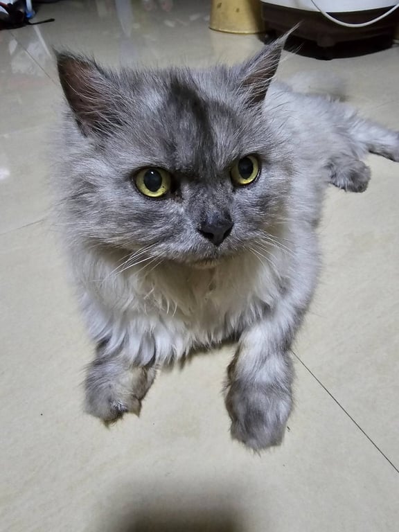 มีตังค์
