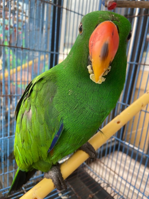 Peru