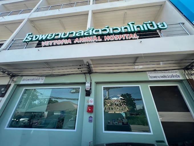 โรงพยาบาลสัตว์เวทโทเปีย Vettopia Animal Hospital