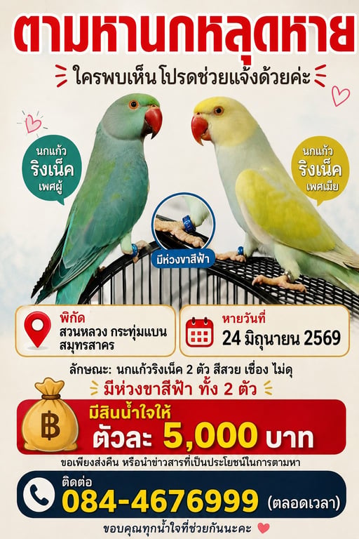 มิลค์กี้/มาร์แชล