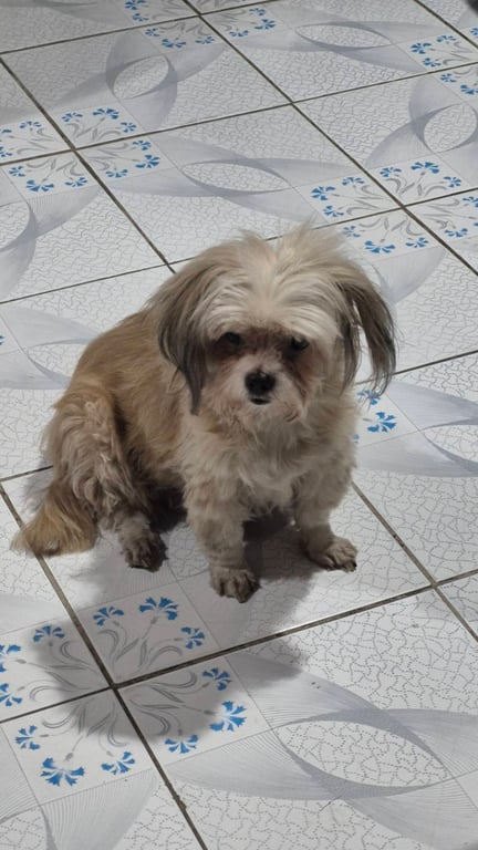 ยูโกะ