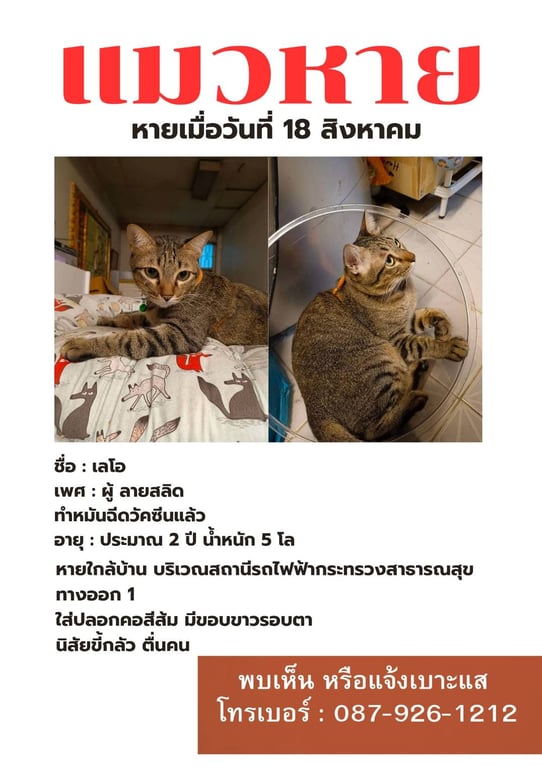 เลโอ