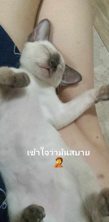 หน่อมแน้ม
