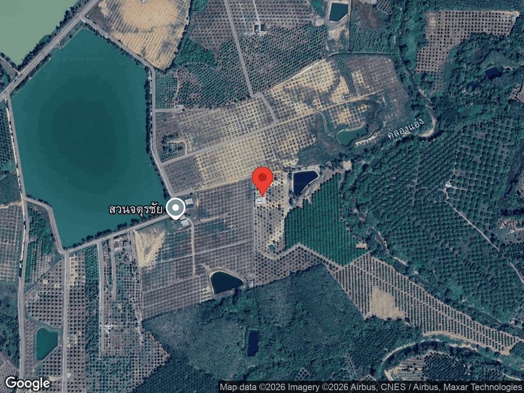 สถานที่หายของเสือ