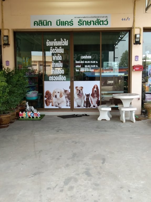 คลินิกบีแคร์รักษาสัตว์