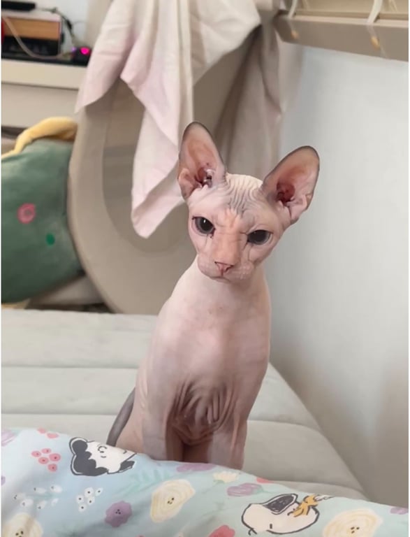 มันนี่