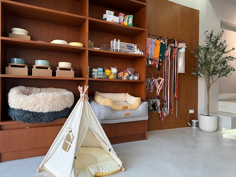 Chou & Me pet wellness and hotel