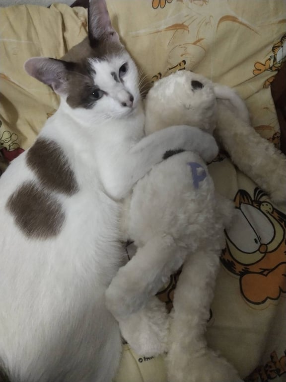 จิ๋วหลิว