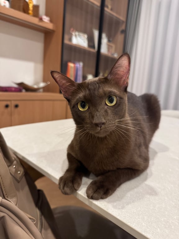 น้องพลอย