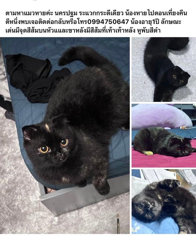 ศิตา
