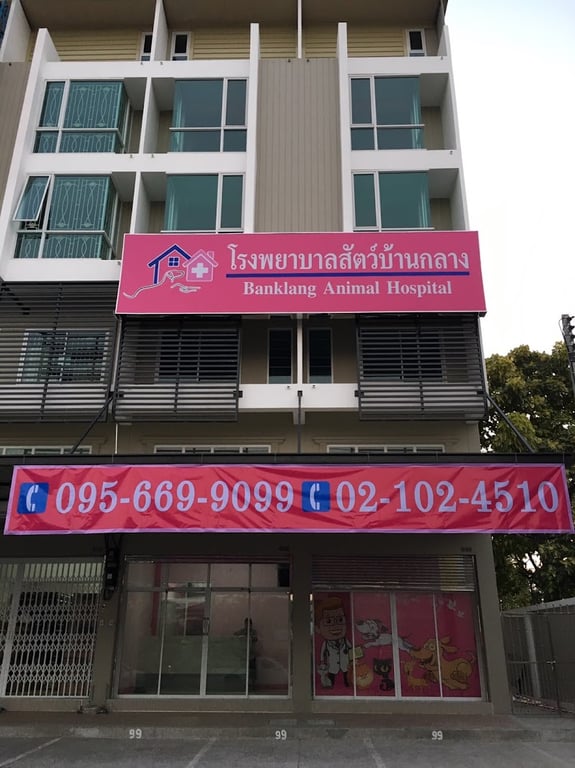 โรงพยาบาลสัตว์บ้านกลาง-Banklang Animal Hospital