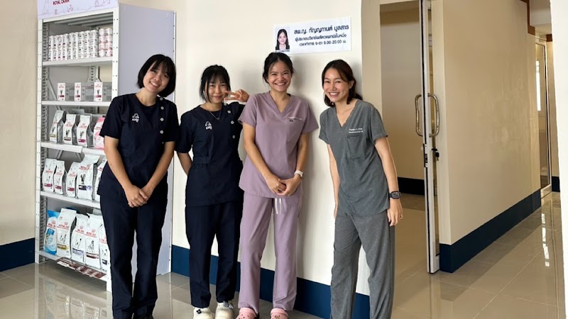KMC animal hospital กระทุ่มแบน | ศูนย์ผ่าตัดและโรคหัวใจสัตว์เลี้ยง