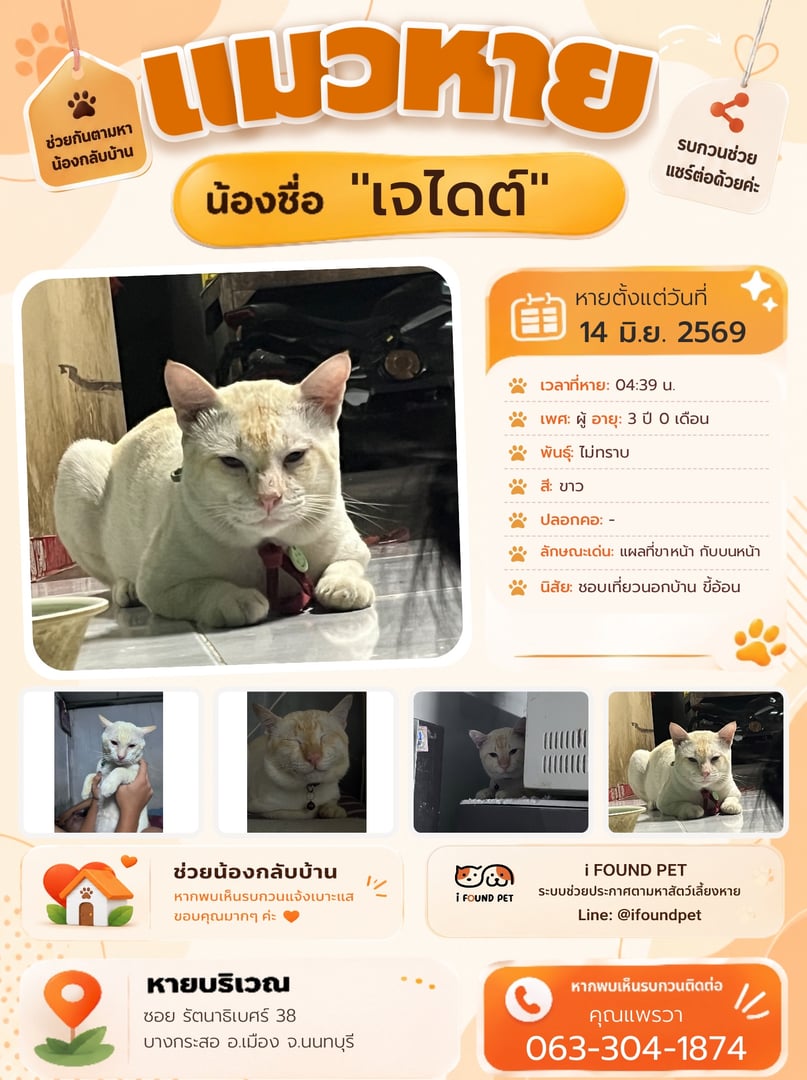 เจไดต์
