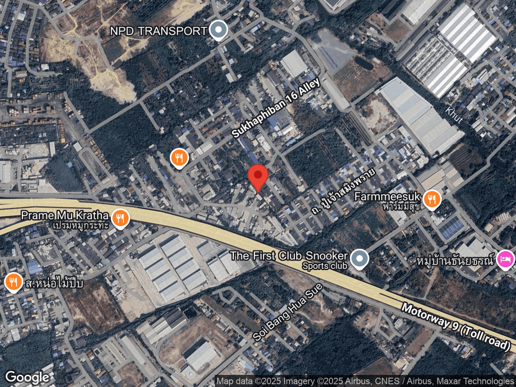 สถานที่หายของไลออน