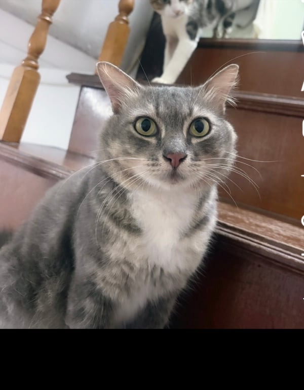 มีตังค์